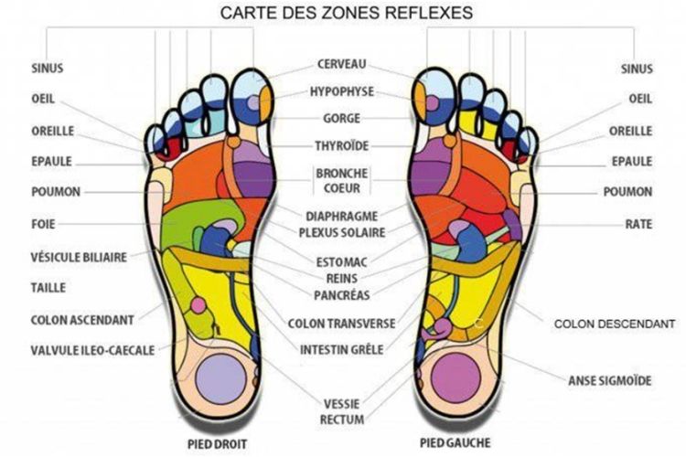 Réflexologie Plantaire Quest Ce Que Cest Et Quels Sont Ses Bienfaits 